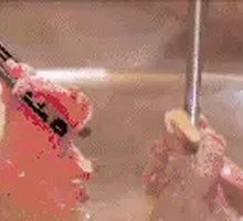 Fresh Beef Slicing Dish