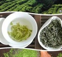 Biluochun Tea Dish