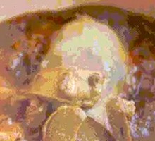 Braised Duck with Ginger