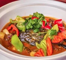 Braised Softshell Turtle