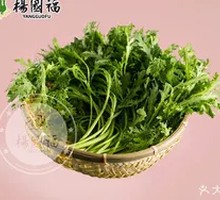 Chinese chrysanthemum greens