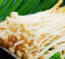 Enoki Mushroom