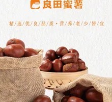 Premium Qiuxi Chestnuts