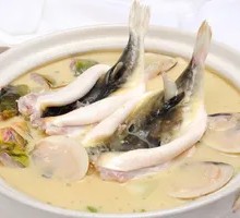 Milk Soup Pufferfish