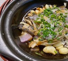 Braised Shark Fin Head in Clay Pot