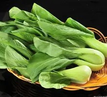 Baby Bok Choy
