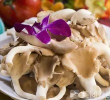 Enoki Mushroom