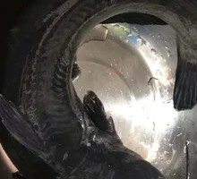 Clear River Group