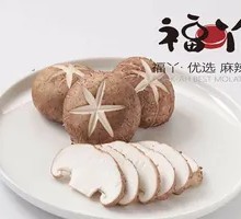 Shiitake Mushroom