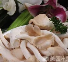 Enoki Mushroom