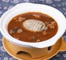 Softshell Turtle