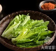 Oilseed lettuce
