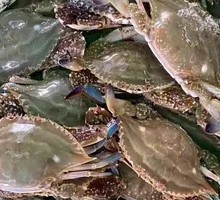 Fresh Swimming Crab