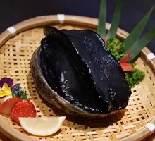 New Zealand Black Abalone