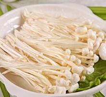 Enoki Mushroom