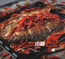 Spicy Grilled Fish