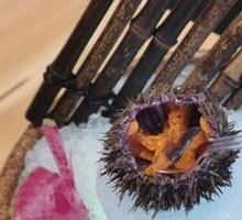 Live Sea Urchin