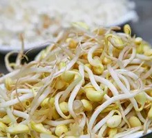 Bean sprouts
