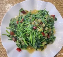 Stir-fried Pea Shoots with Pickled Mustard Greens