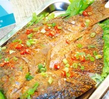 Spanish mackerel and bream