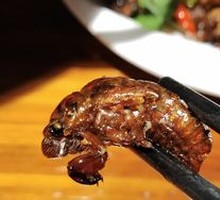 Fried Cicadas