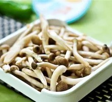 King Oyster Mushroom