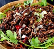 Xuzhou Fried Grasshoppers