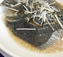 Turbot