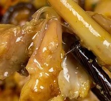 Free-range Chicken