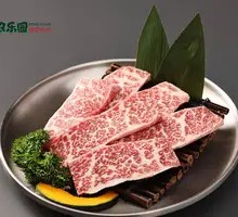 Original Wagyu Ribeye