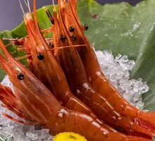 Canadian Snow Crab