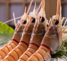 New Zealand Lobster