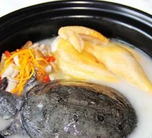 Bald Eagle Turtle Chicken