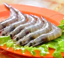 Green Shrimp