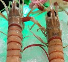 New Zealand Lobster Sashimi