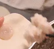 Signature Suzhou-Style Large Shrimp Pan-Fried Buns