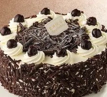 Black Chocolate Forest