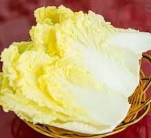 Napa cabbage