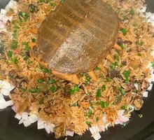 Softshell Turtle Fried Rice