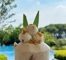 Whole Coconut Ice Cream
