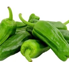 Green Pepper
