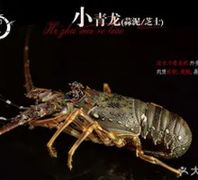 Garlic-Style Small Lobster