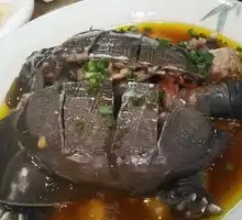 Steamed Ecological Softshell Turtle