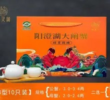 Yangcheng Lake Hairy Crab 788 Type 10-Piece Pack