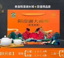 Yangcheng Lake Hairy Crab 668 Type 8-Piece Set