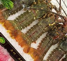 小青龙