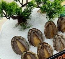 Abalone