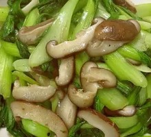 Chinese cabbage