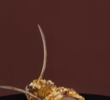 Mustard-Flavored Lamb Ribs