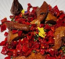 Pepper-Scented Golden Pigeon